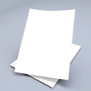 NT 180 Micron 22x28 - 250 Sheet Package & 500 Sheet Price