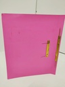 >> Redking " Cobra Clip " Office File (Pack of 12)