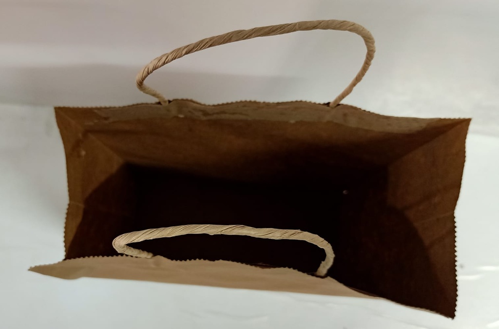 Paper Bag 9X11X4 Inch Gade 120 Gsm Paper-25 Pcs.