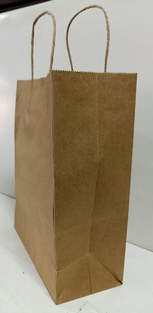 Paper Bag 9X11X4 Inch Gade 120 Gsm Paper-25 Pcs.