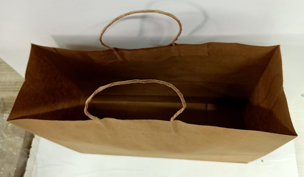 Paper Bag 15X11X5 Inch Gade 120 Gsm Paper-25 Pcs.
