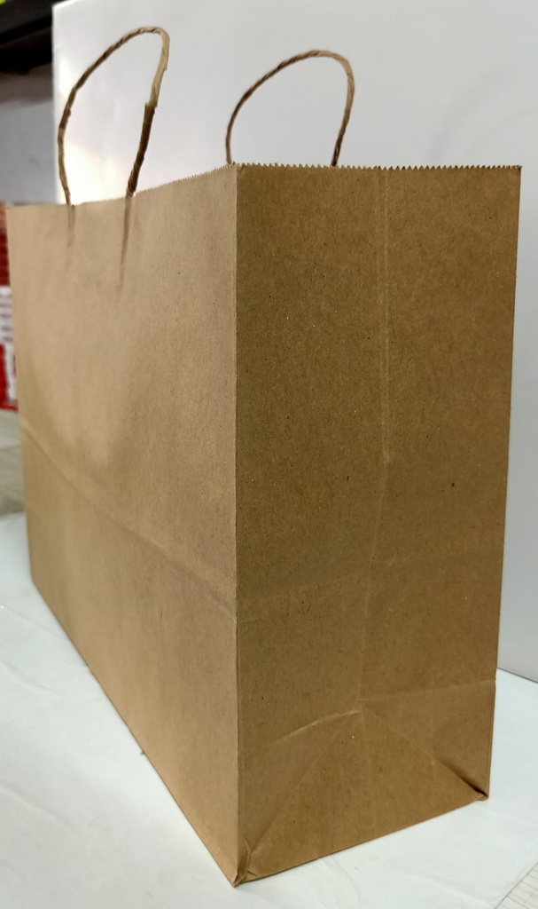 Paper Bag 15X11X5 Inch Gade 120 Gsm Paper-25 Pcs.