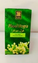Attar Phool Mogra-6ml