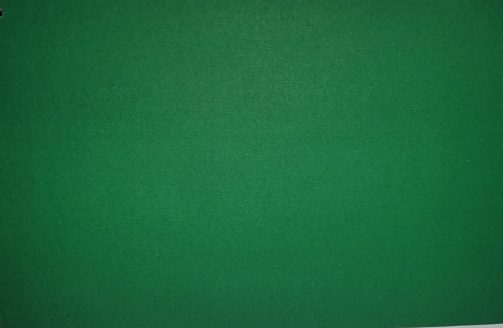 Dark Green Pastel 22x28 150 Gsm-Pack Of 100