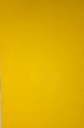 Golden Yellow Pastel 22x28 150 Gsm-Pack Of 100