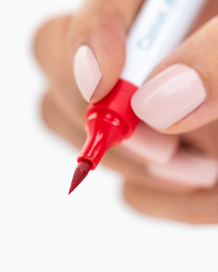 Camel Brush Pens -24 Shades