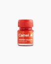 Camel Poster Colours -6 Shades