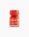 Camel Poster Colours -12 Shades