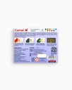 Camel Oil Pastels -12 Shades