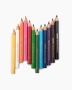 Camlin Colour Pencils Half Size -12 Shades