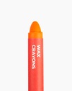 Camel Wax Crayons -10 Shed