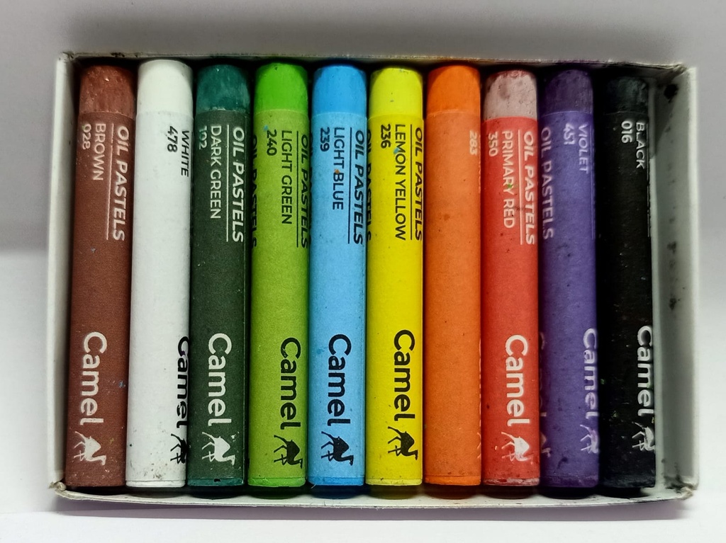 Camel Oil Pastels -10 Shades