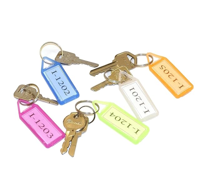 Omega Plastic Keychain-Pack Of 50