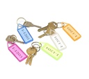 Omega Plastic Keychain-Pack Of 50