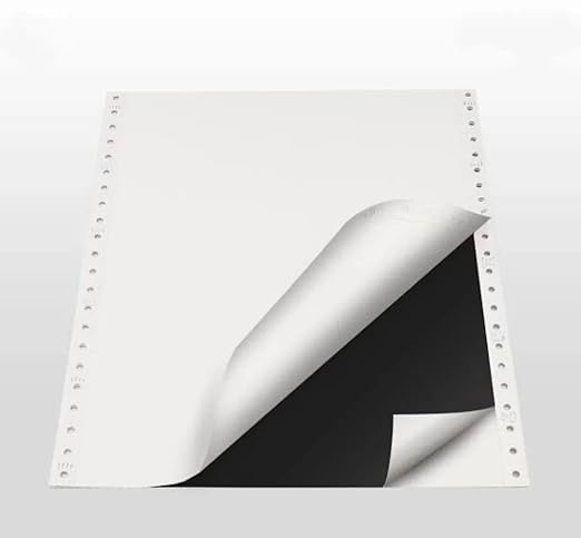 Dot Matrix Printer Paper Size 10x12 Inch,2 Part(6 Inch Cut) 60 Gsm, With Carbon(2 Paper+1 Carbon)-Pack of 500 (10x12x2x6''Cut Computer Paper)