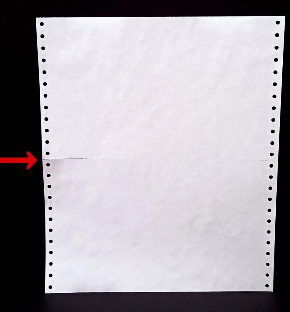 Dot Matrix Printer Paper Size 10x12 Inch,2 Part(6 Inch Cut) 60 Gsm, With Carbon(2 Paper+1 Carbon)-Pack of 500 (10x12x2x6''Cut Computer Paper)