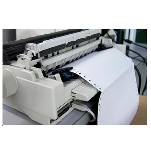 Dot Matrix Printer Paper Size 10x12 Inch,2 Part(6 Inch Cut) 60 Gsm, With Carbon(2 Paper+1 Carbon)-Pack of 500 (10x12x2x6''Cut Computer Paper)