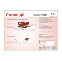 Camel ColorPad Water Colour Cake With Paint Brush-24 Shades 