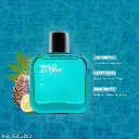 Wild Stone Premium Long Lasting Perfume 100ml (Edge)