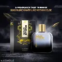 Wild Stone Premium Long Lasting Eau de Perfume 100ml (Ammo)