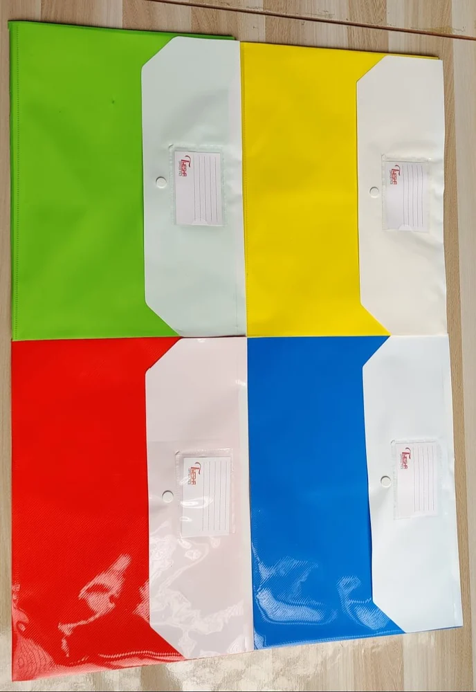 Vivid My Clear Bag Double Pocket Full Size A4 Plastic File Folder-Pack Of 20 (VD-DP1931F)