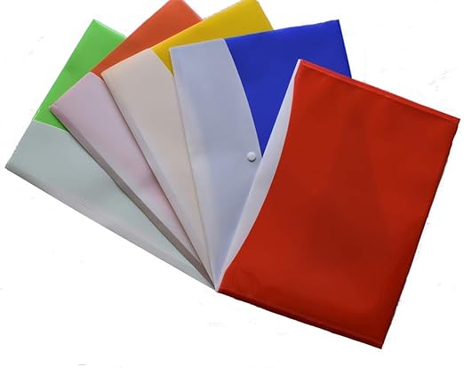 Vivid My Clear Bag Double Pocket Full Size A4 Plastic File Folder-Pack Of 20 (VD-DP1931F)