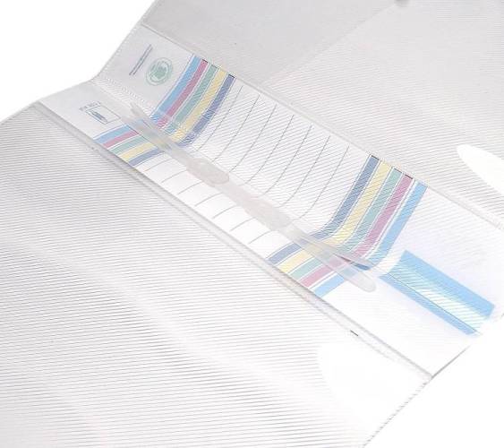 Redking Plastic Transparent Report File A4 (Pack Of 10)