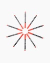 Camlin CD Marker Red (Pack Of 10)