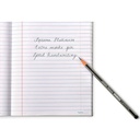 Apsara Platinum Pencils (Pack of 10)