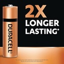 Duracell Alkaline Battery AA (Pack Of 10)