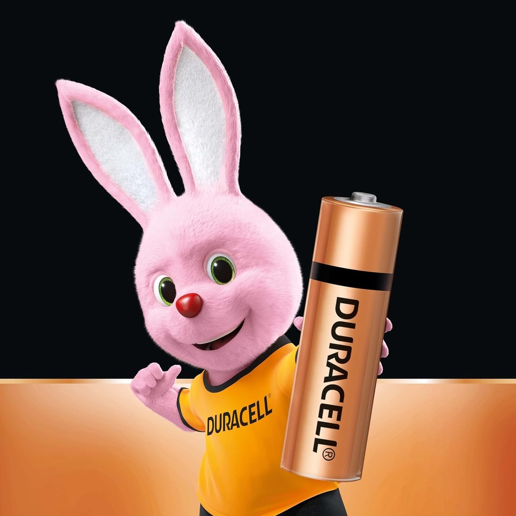 Duracell Alkaline Battery AA (Pack Of 10)