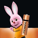 Duracell Alkaline Battery AA (Pack Of 10)