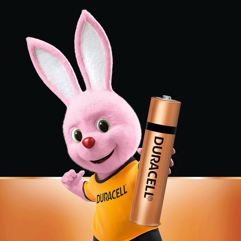 Duracell Alkaline Battery AAA (Pack Of 10)