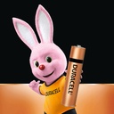 Duracell Alkaline Battery AAA (Pack Of 10)