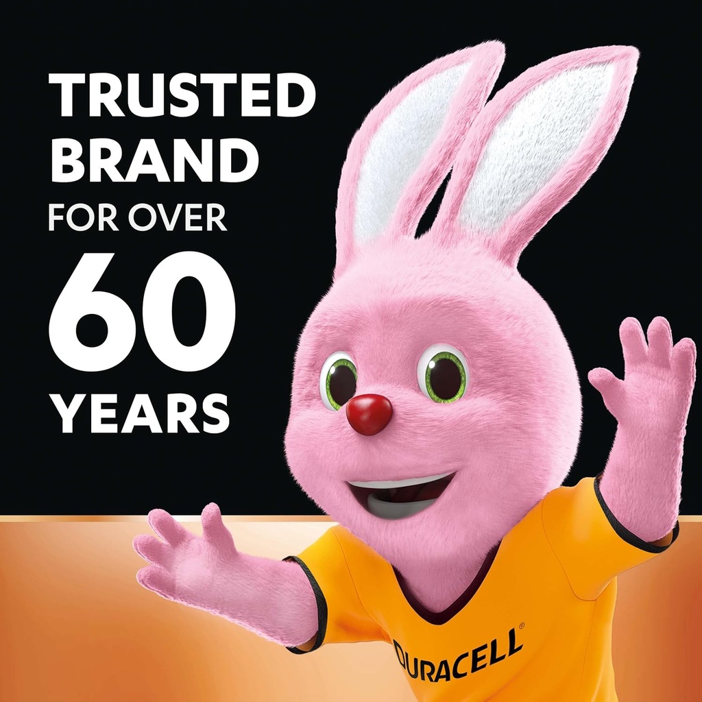 Duracell Alkaline Battery AAA (Pack Of 10)