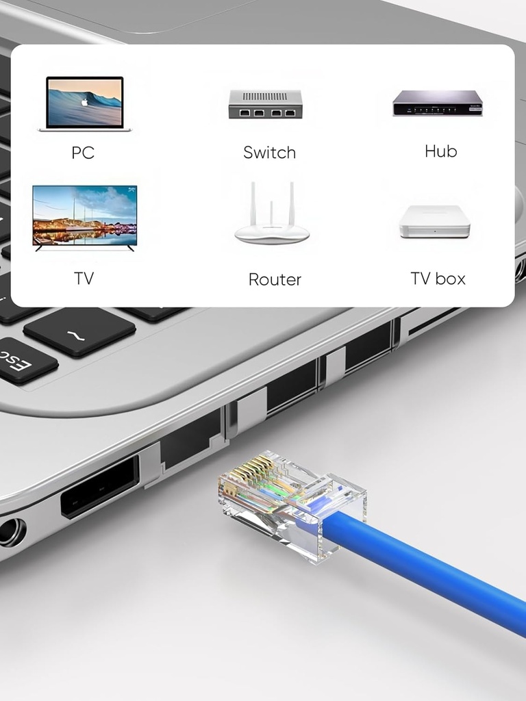 Enter RJ45 Connector Module Plugs 