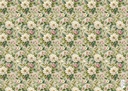 Chromo Gift Wrapping Paper (305 No.) Size 19.75x27.5 Inch (Pack Of 25)