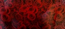Chromo Gift Wrapping Paper (306 No.) Size 19.75x27.5 Inch (Pack Of 25)