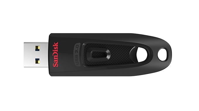 SanDisk Ultra Pendrive 64 GB (USB 3.0 Flash Drive)