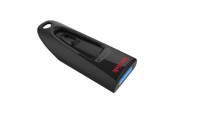 SanDisk Ultra Pendrive 64 GB (USB 3.0 Flash Drive)
