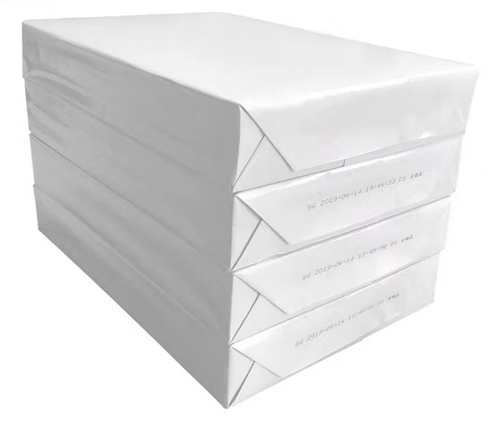 White Plain Copier Paper 100 Gsm, F/S Legal Size (Pack Of 500)