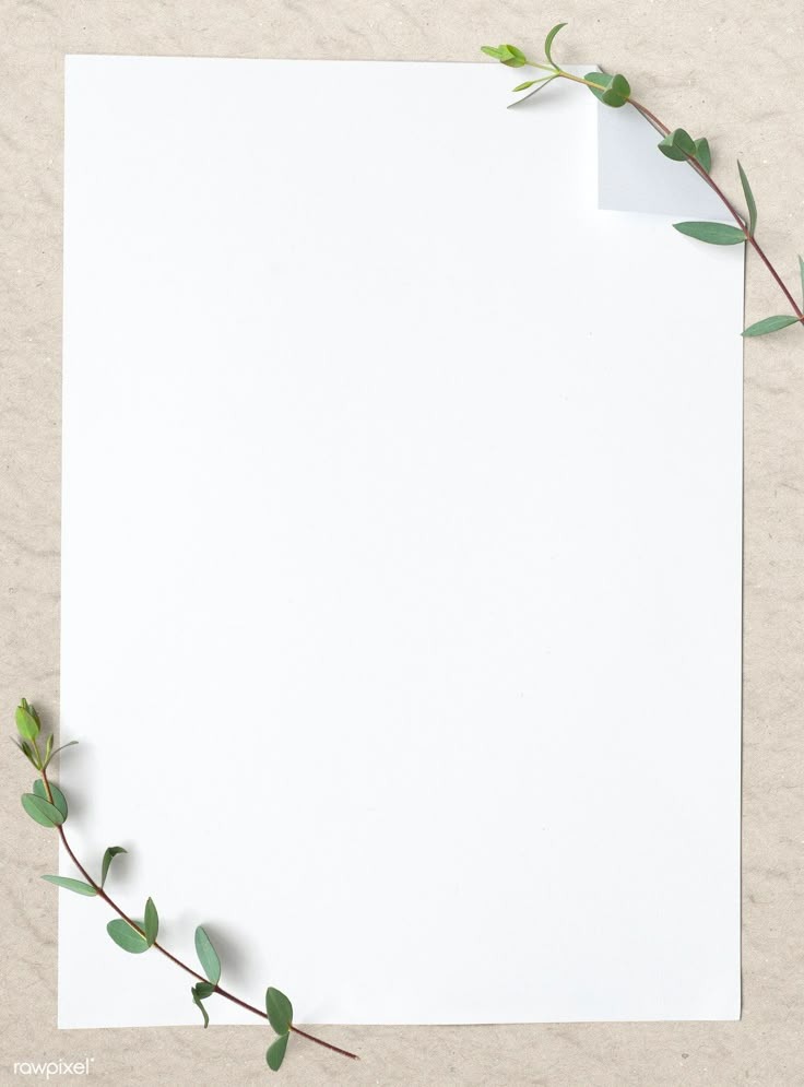 Paper One Alabaster Paper 25x36 100 Gsm 28.9 Kg (1 Ream/500 Sheet ...