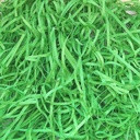 Shredder Paper Red Pastel Colour (200 Gram Pouch)