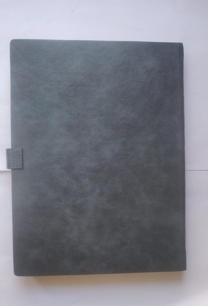 Executive New Year Diary 2026 (513 PUH)