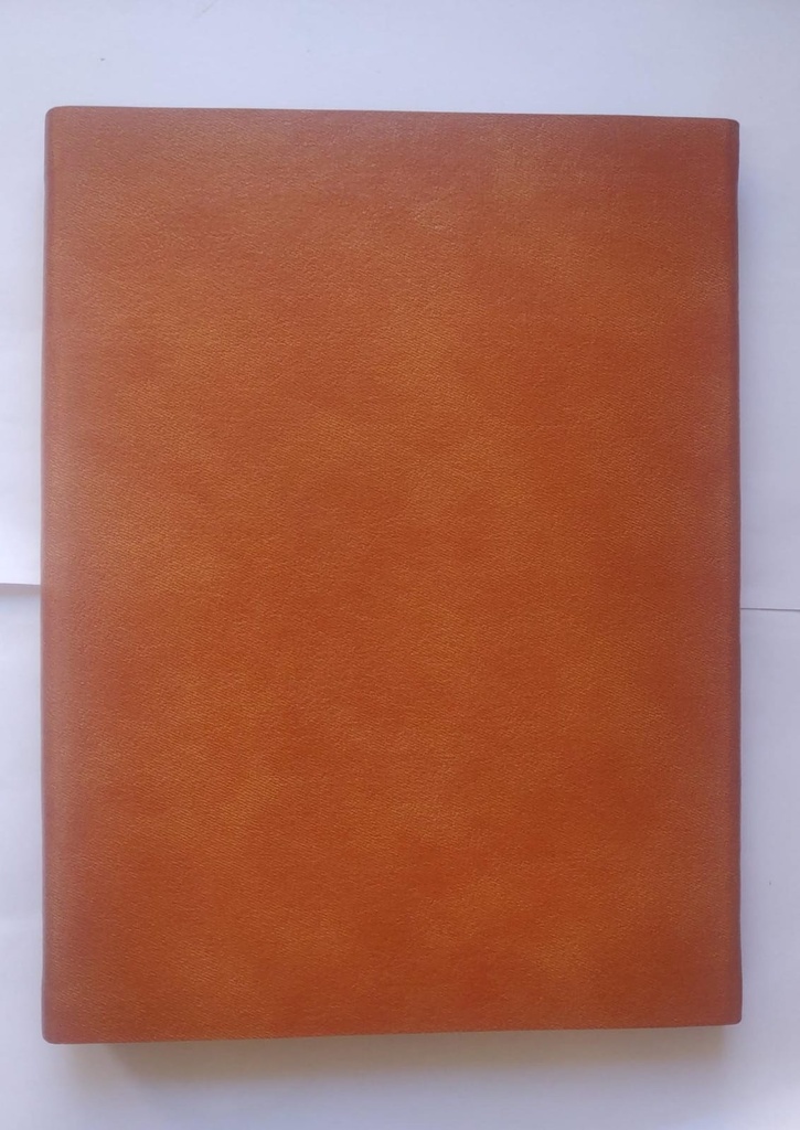 Executive New Year Diary 2026 (513 PUH)