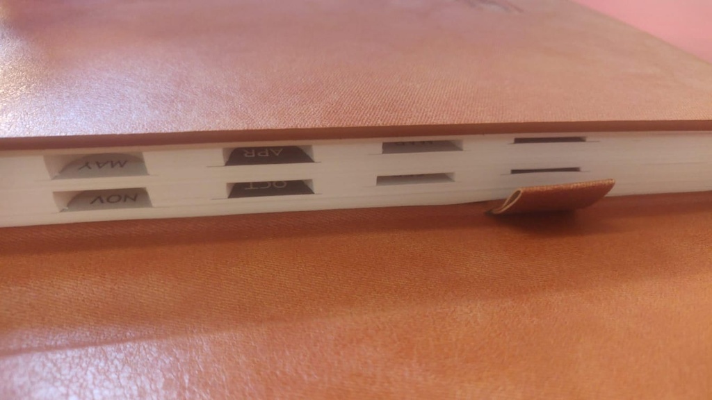 Premium Executive New Year Diary 2026 (611 PUML)