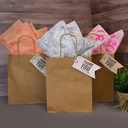 Brown Kraft Paper Bags with Twisted Handles 10"x5"x13" Inch 150 Gsm (Pack of 25)