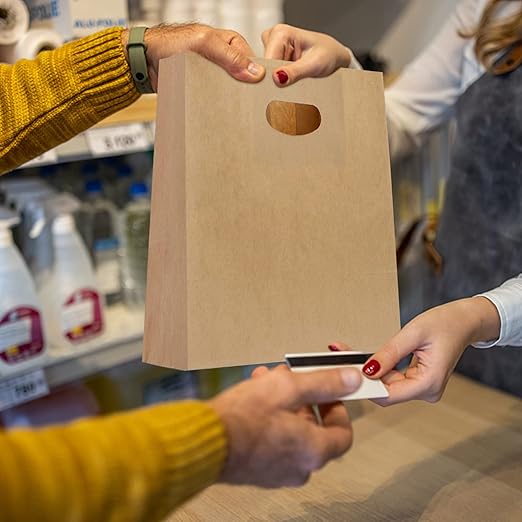 Brown Kraft Paper Bags with D-Cut Handles 11"x6"x11" Inch 150 Gsm (Pack of 25) 