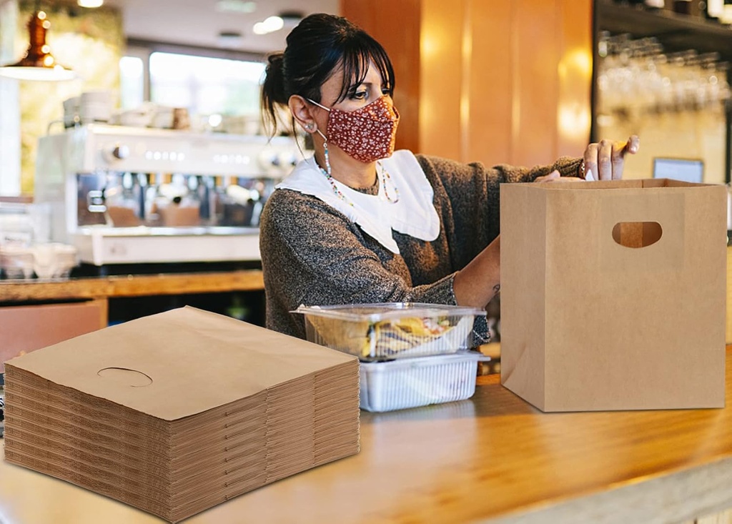 Brown Kraft Paper Bags with D-Cut Handles 11"x6"x11" Inch 150 Gsm (Pack of 25) 