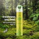Godrej aer Spray Room Freshener Flavour Forest Fresh